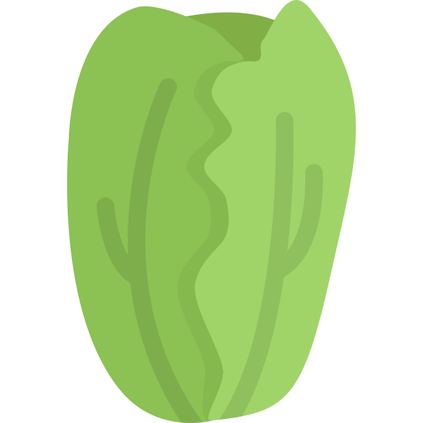 cabbage2 Svg File