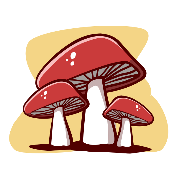 Mushrooms Autumn Nature