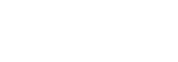 WebsitePlanet Svg File