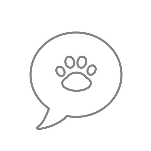Chat Message Cat Svg File