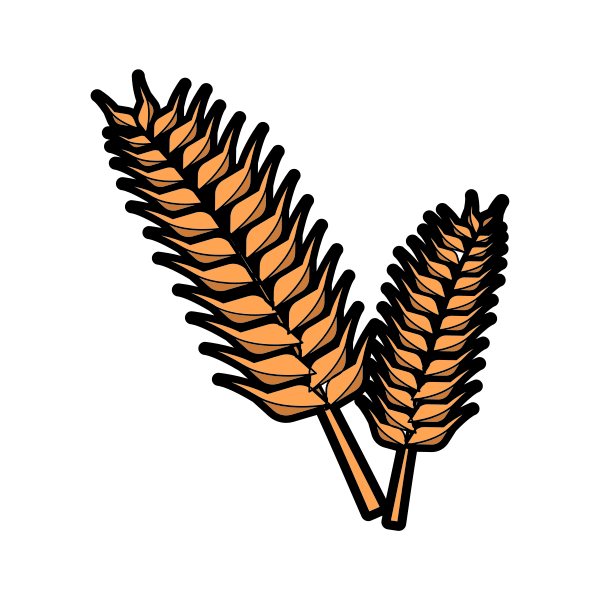 Agriculture Wheat