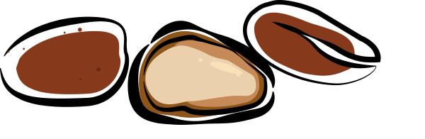 Pine Nuts Svg File