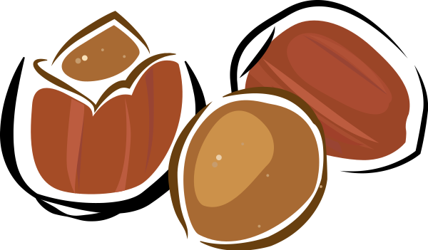 Hazelnut Svg File