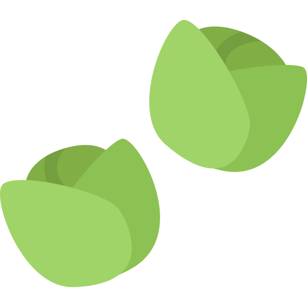 brusselssprouts Svg File