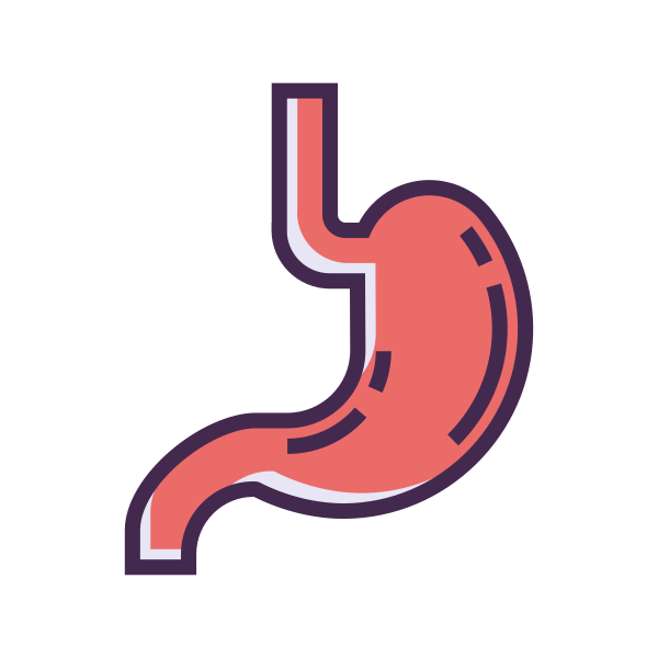 Stomach Svg File