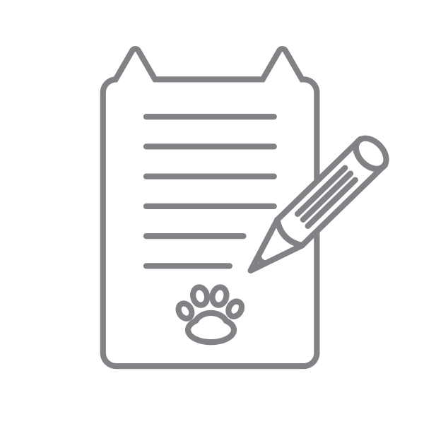 Letter Document Cat Svg File