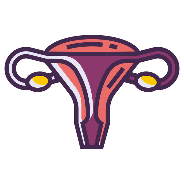 Female Reproductive Svg File