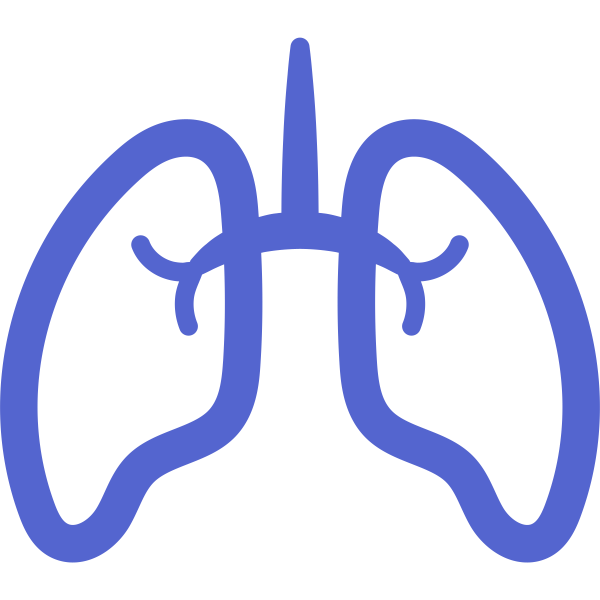 Sharp Icons Lungs Svg File