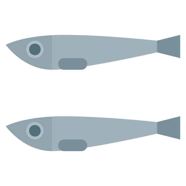 Anchovies Svg File