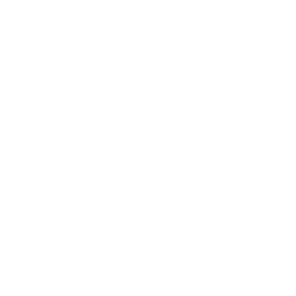 Ammo Primary