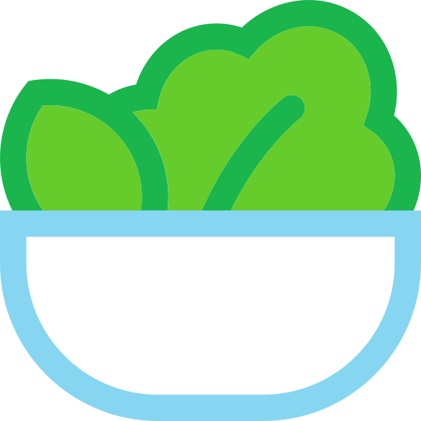 Icon Salad Coloured Svg File