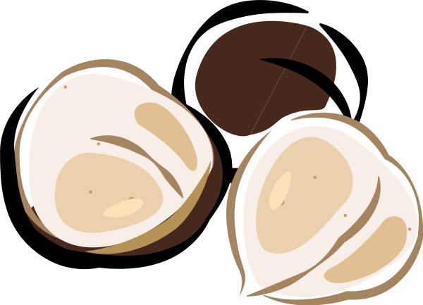 Macadamia Svg File