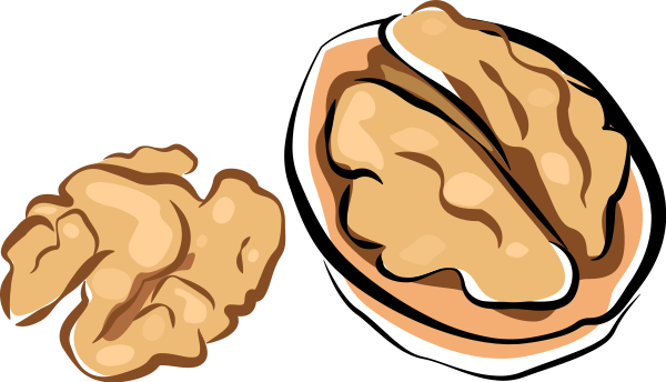 Walnut Svg File