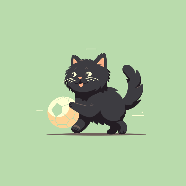 黑猫玩球