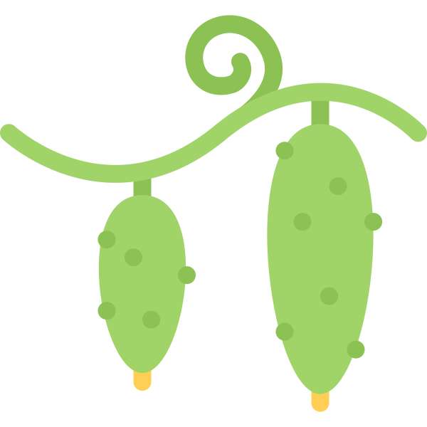 cucumbers Svg File