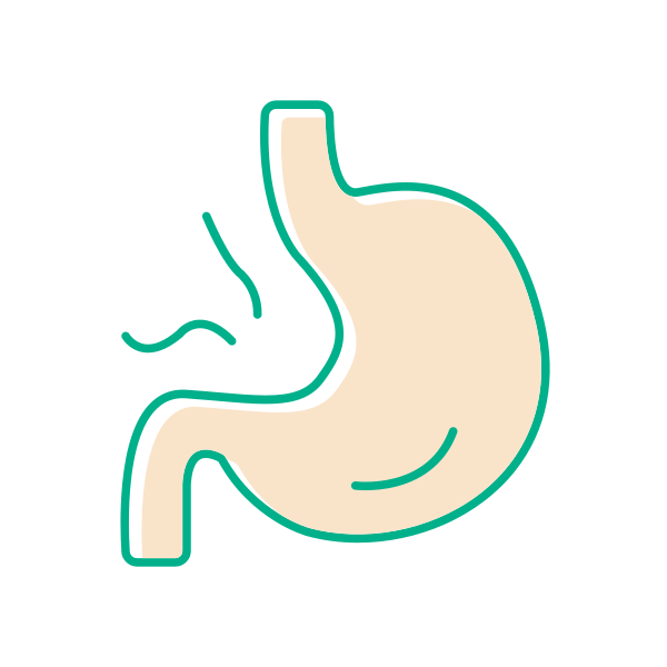 肠胃 Svg File