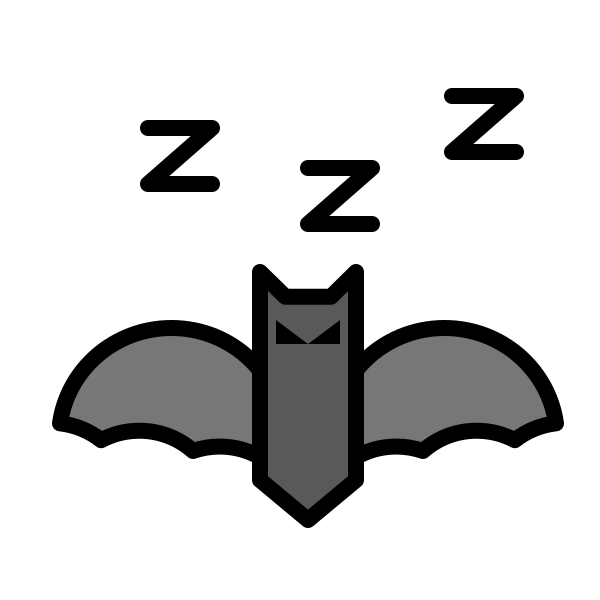 Animal Bat Domestic 2