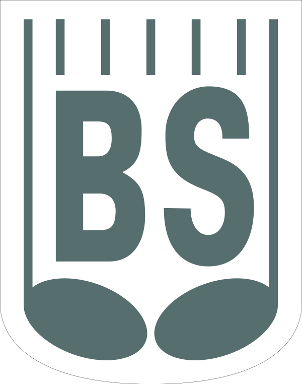 Banks P Logo Svg File