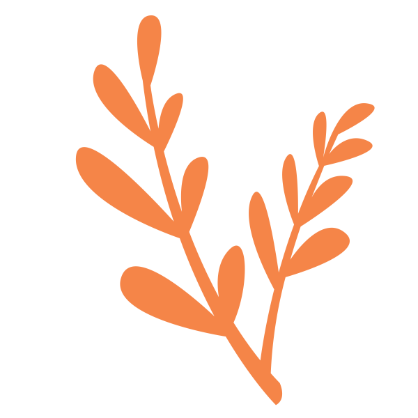 Flower Orange 3