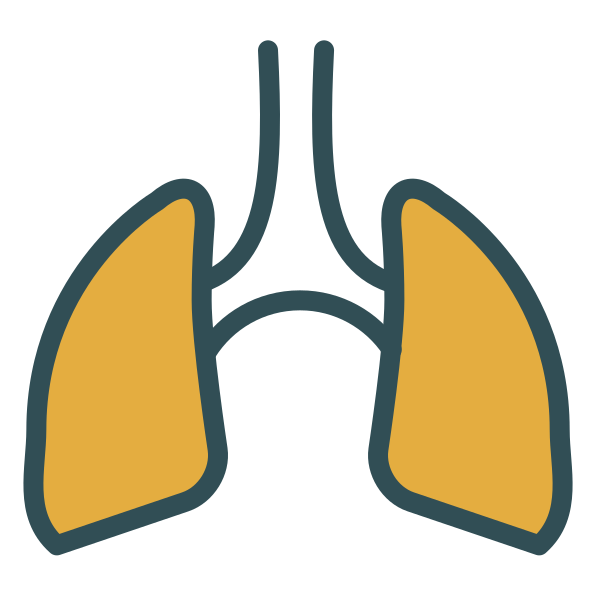 Lungs Svg File