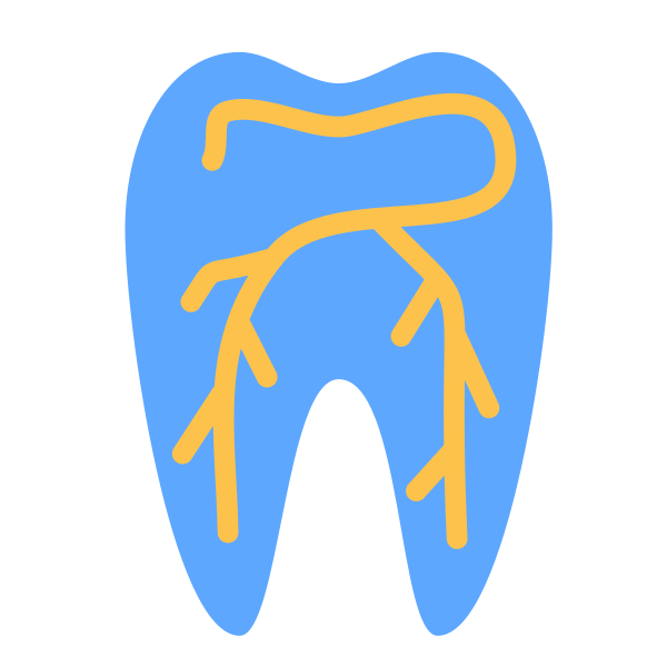 Tooth Nerves Svg File