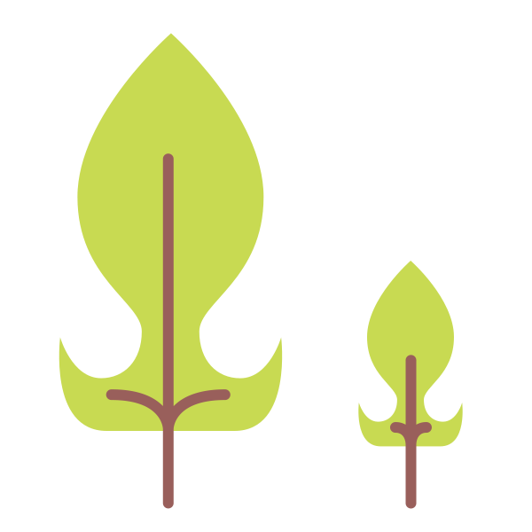 Green Nature Squid Tree Svg File