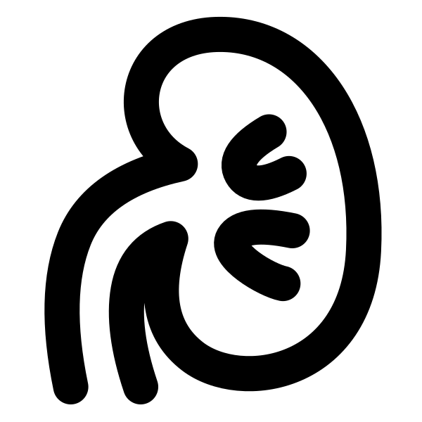 Renal Svg File