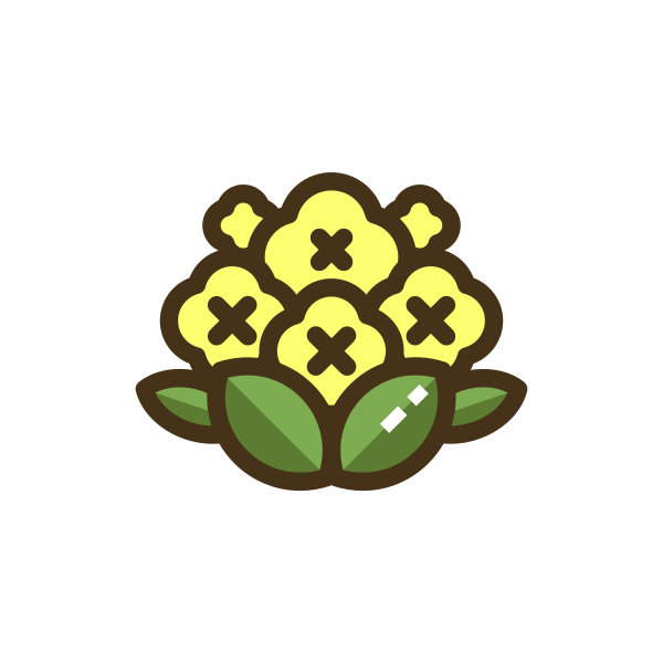 Cauliflower Svg File