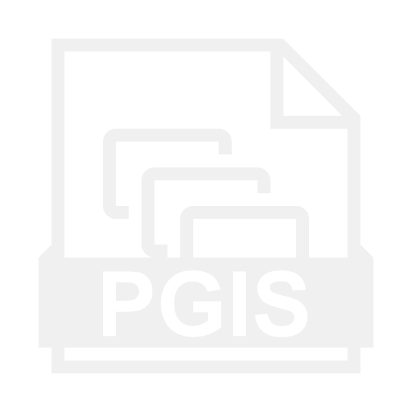 打开PostGIS Svg File