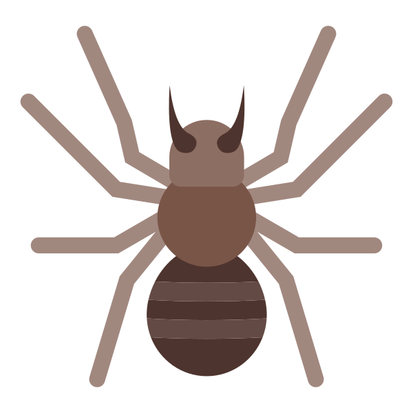 蜘蛛 Svg File