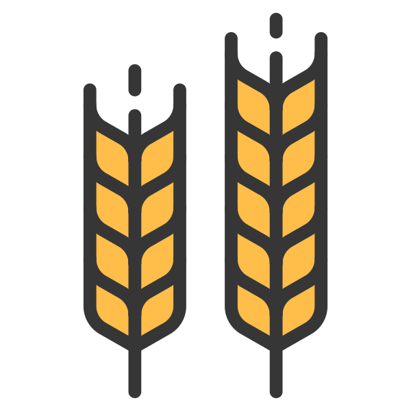 Barley Crop Food Grain Harvest Plant Svg File