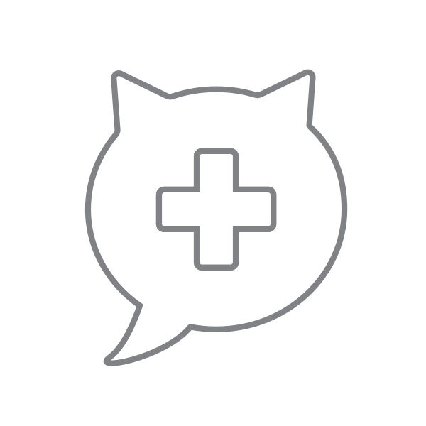 Medical Cat Svg File