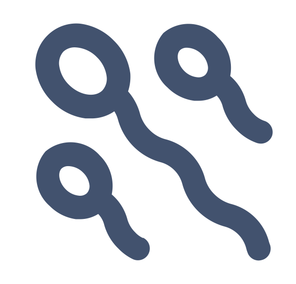 sperms Svg File