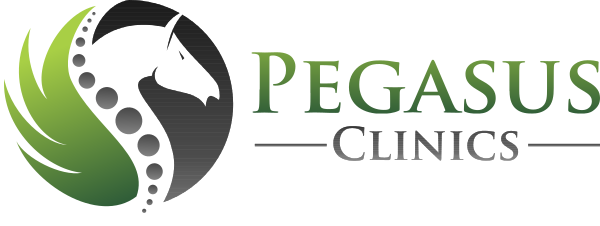 Pegasus Clinics Logo Svg File