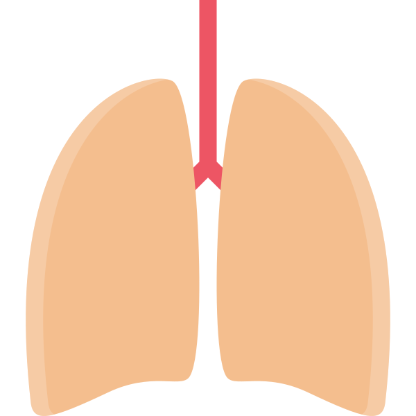 lungs Svg File