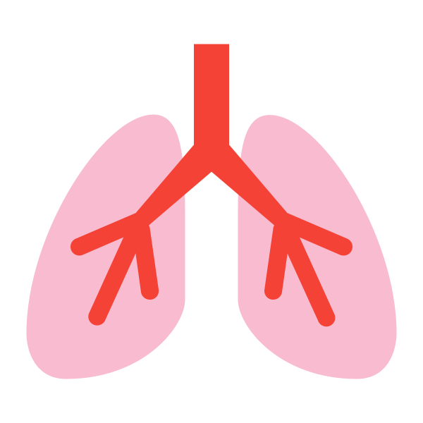 Lung Svg File