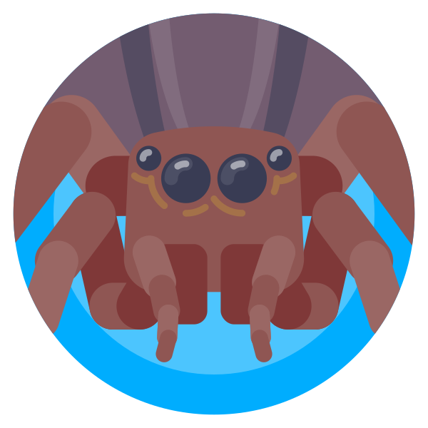 Avatar Bug Insect Svg File